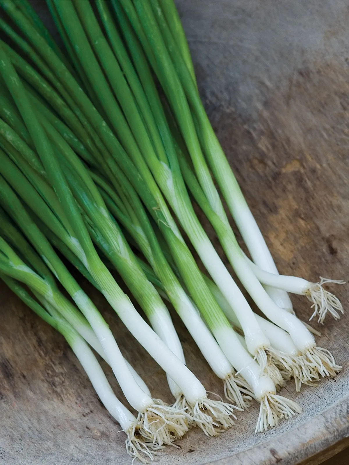 Parade Onions