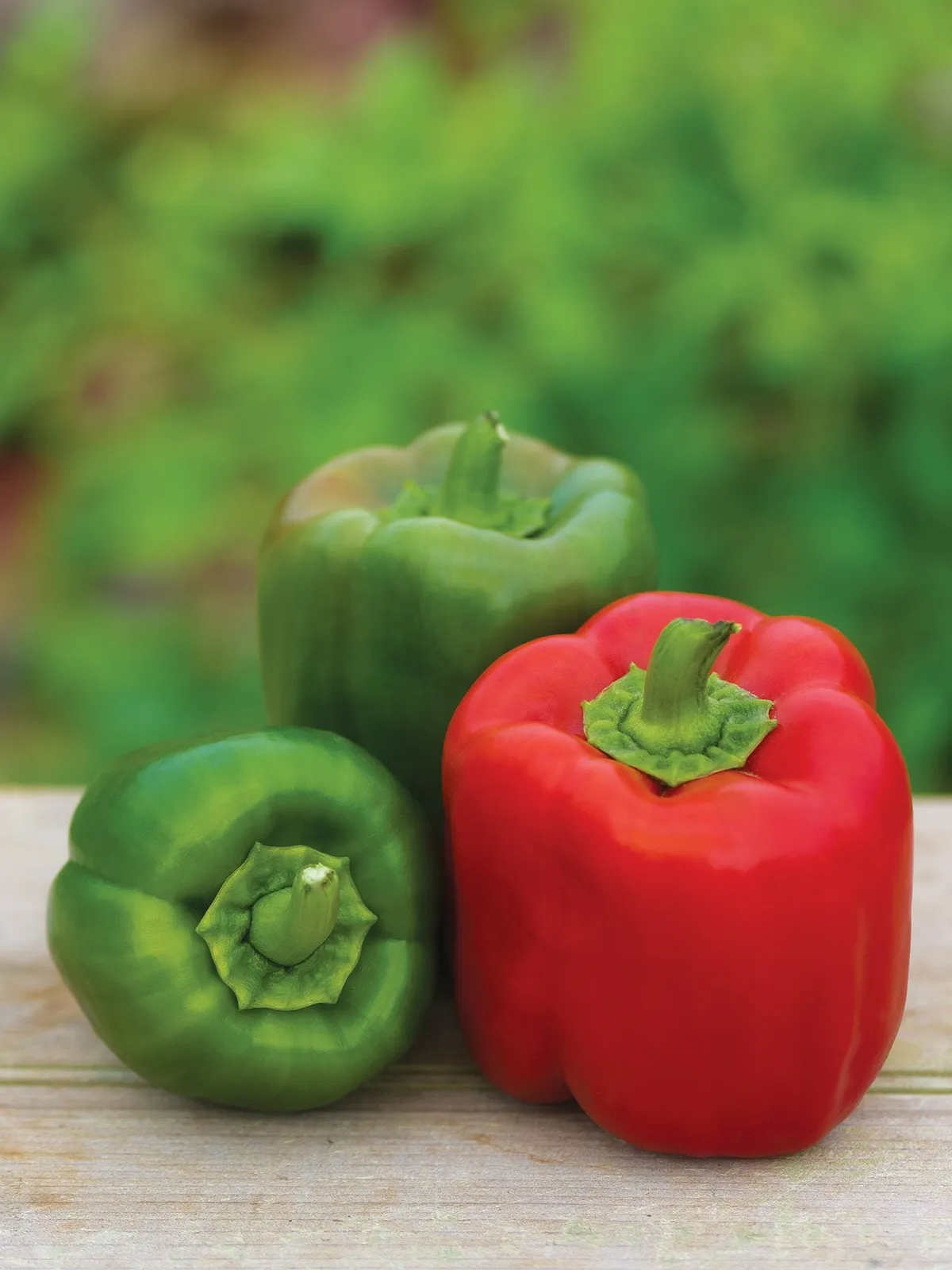 Sweet, Candy Apple Hybrid Peppers