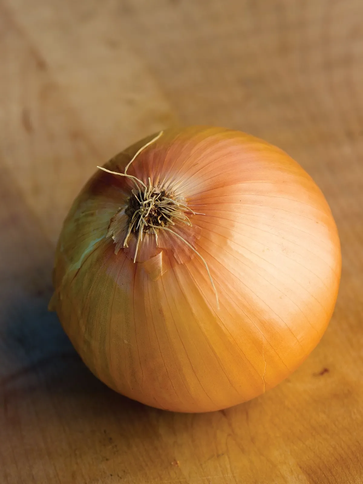Big Daddy Onions