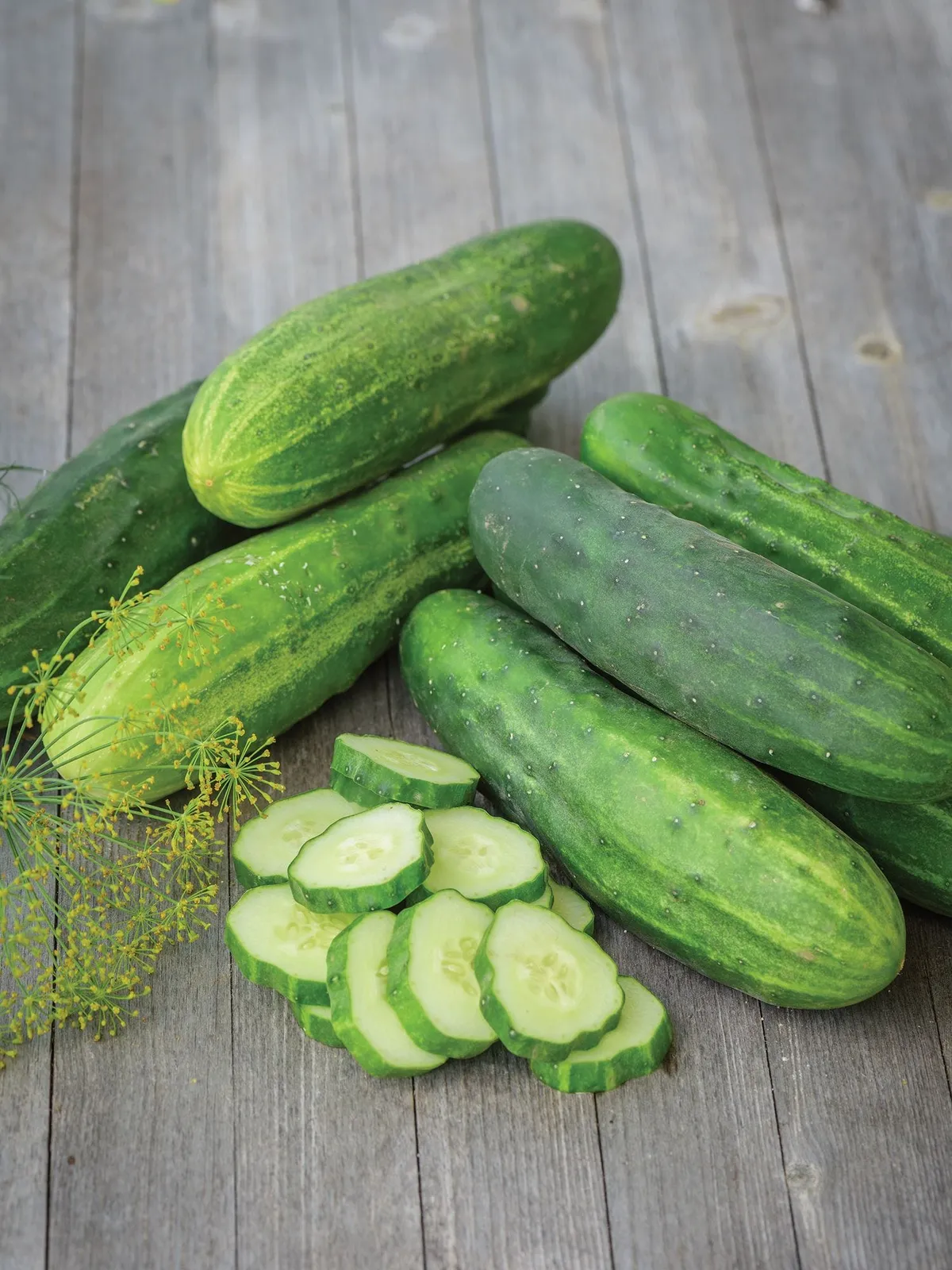 Straight Eight Cucumbers