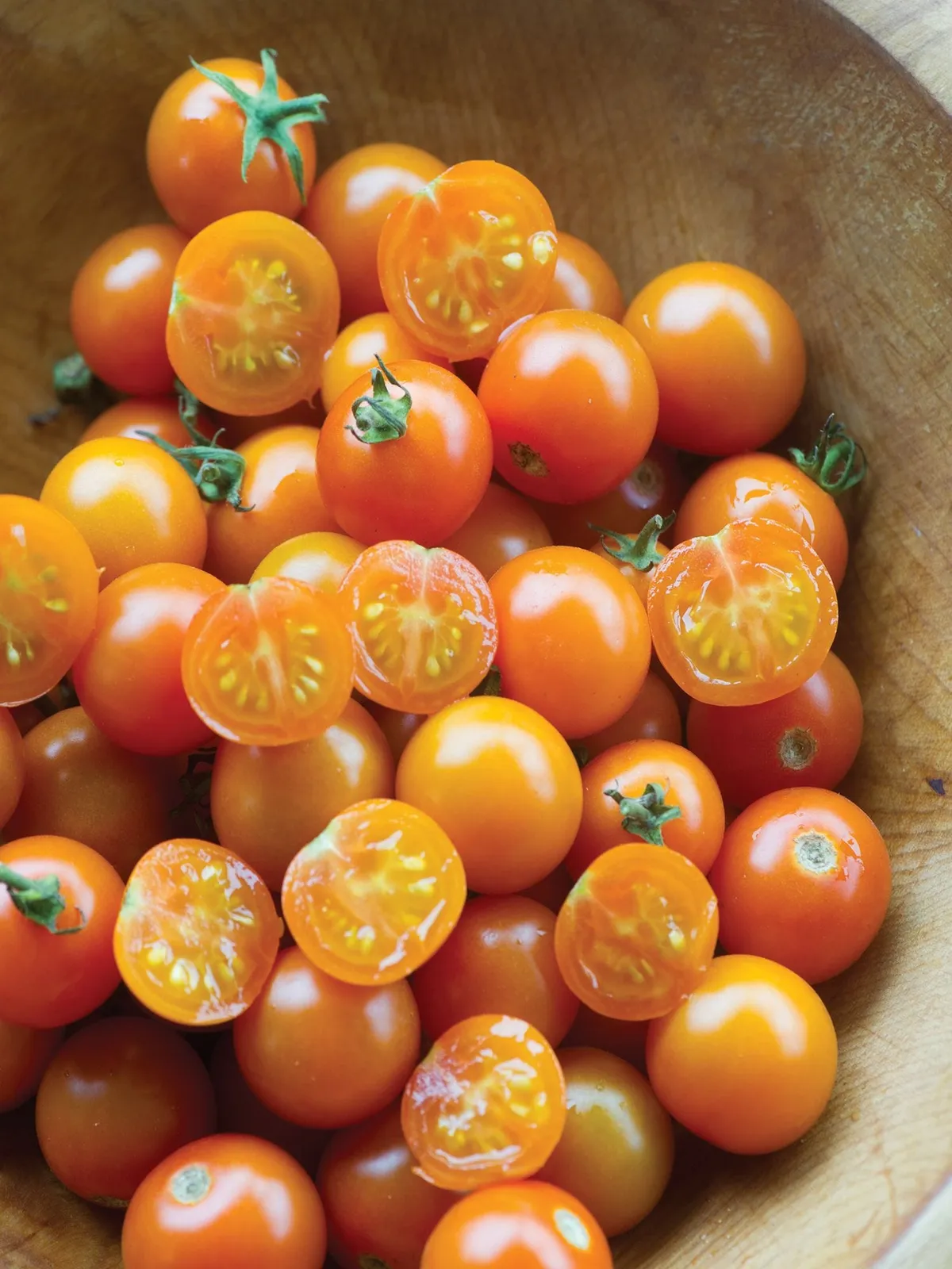 Sun Gold  Hybrid Tomatoes
