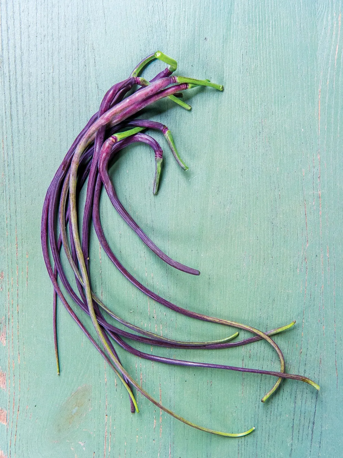 Dragons Tail Radishes