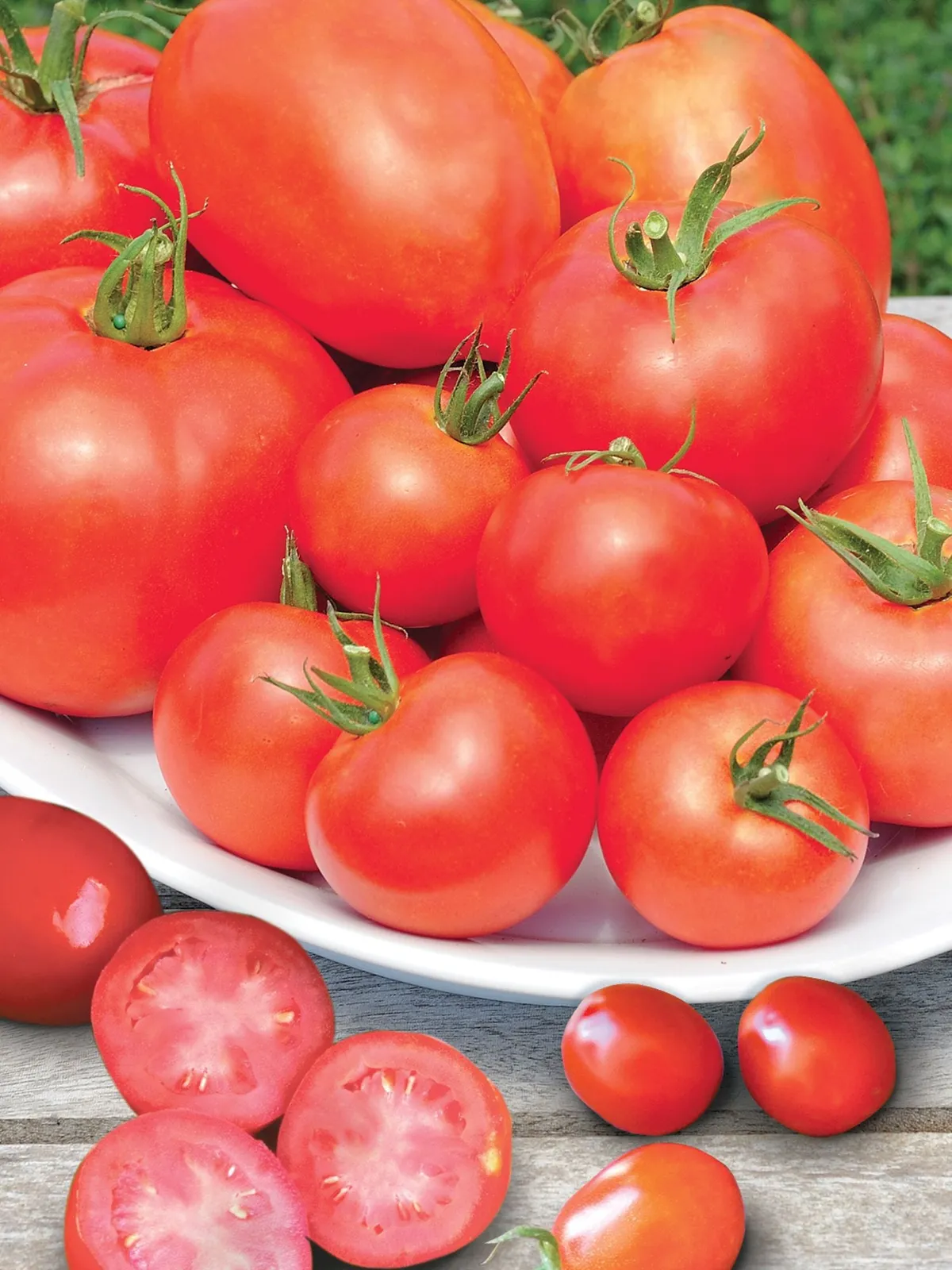 Collection, Burpees Sampler Tomatoes