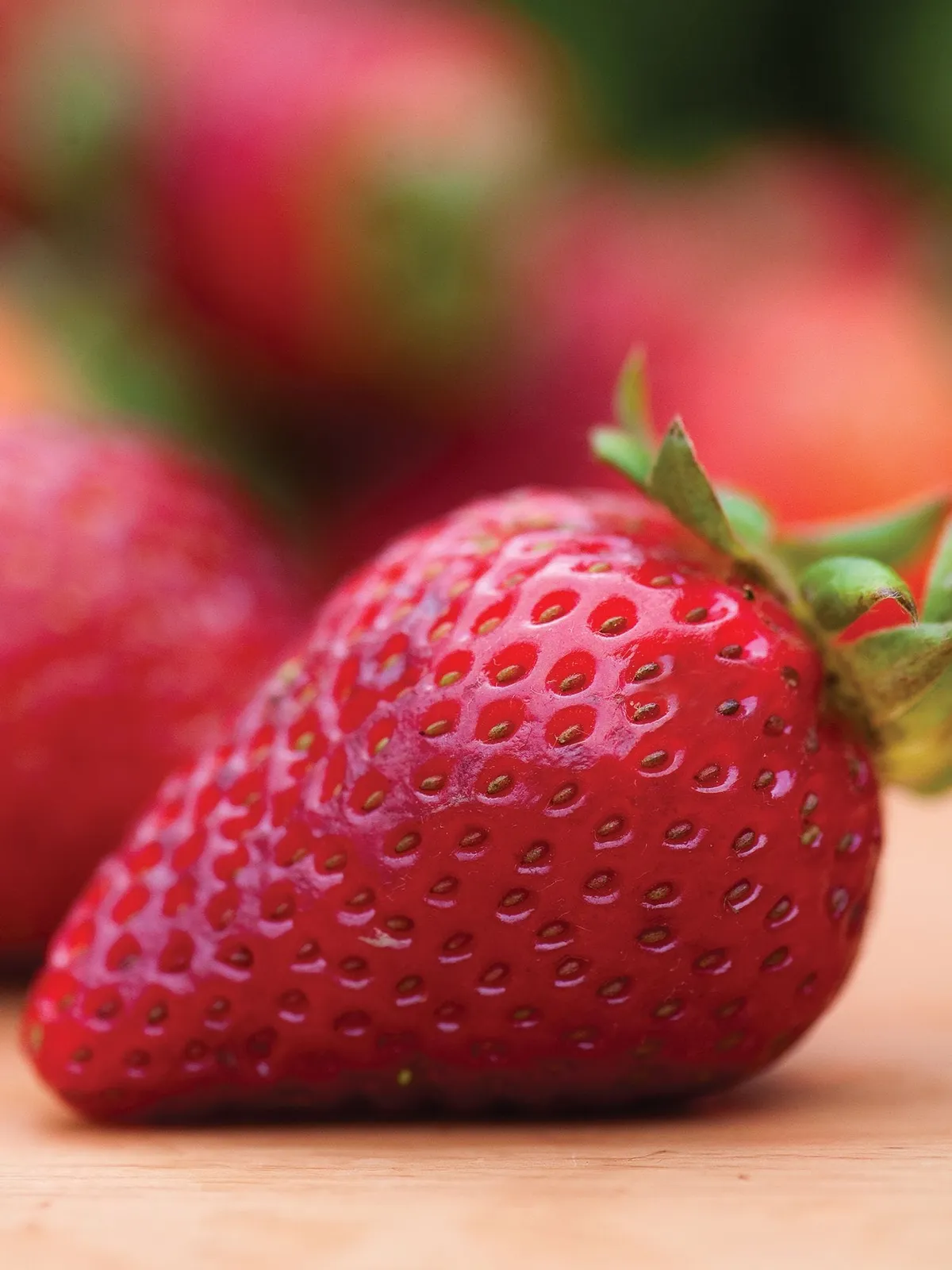 Earliglow Strawberries