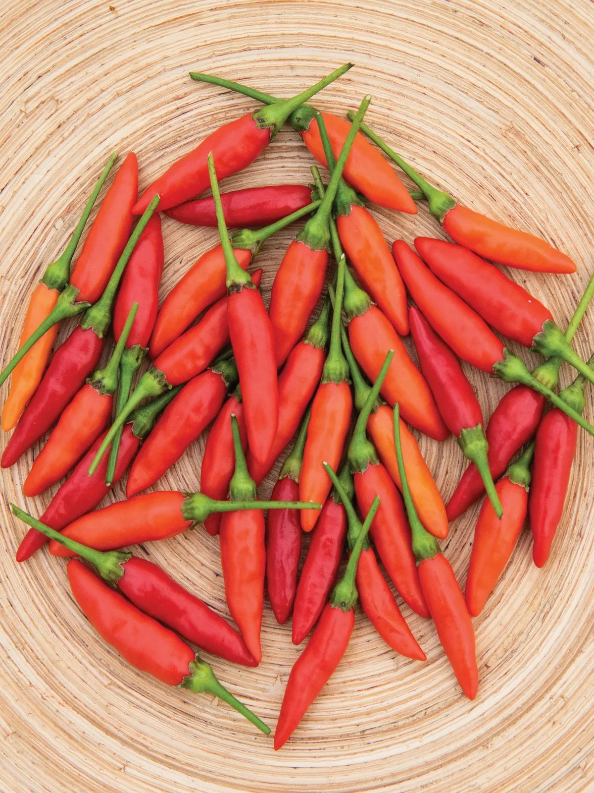 Hot, Tabasco Peppers