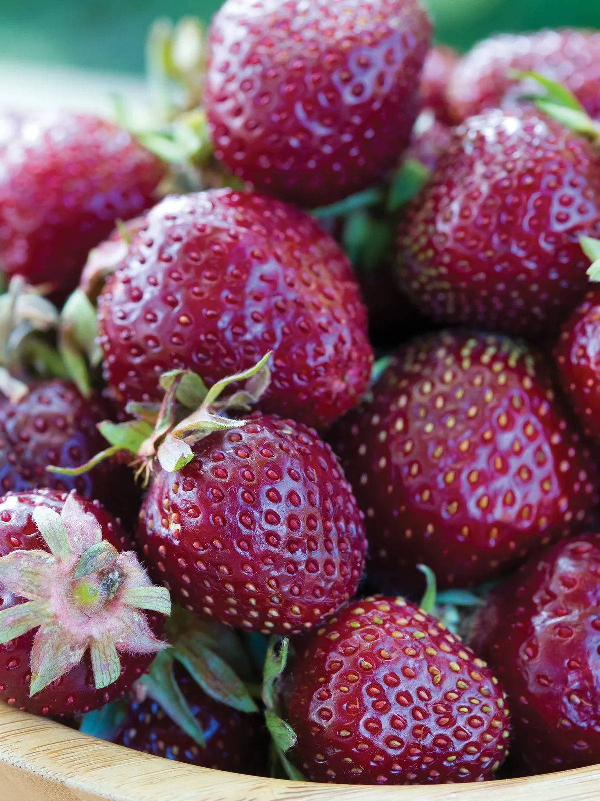 Purple Wonder Strawberries