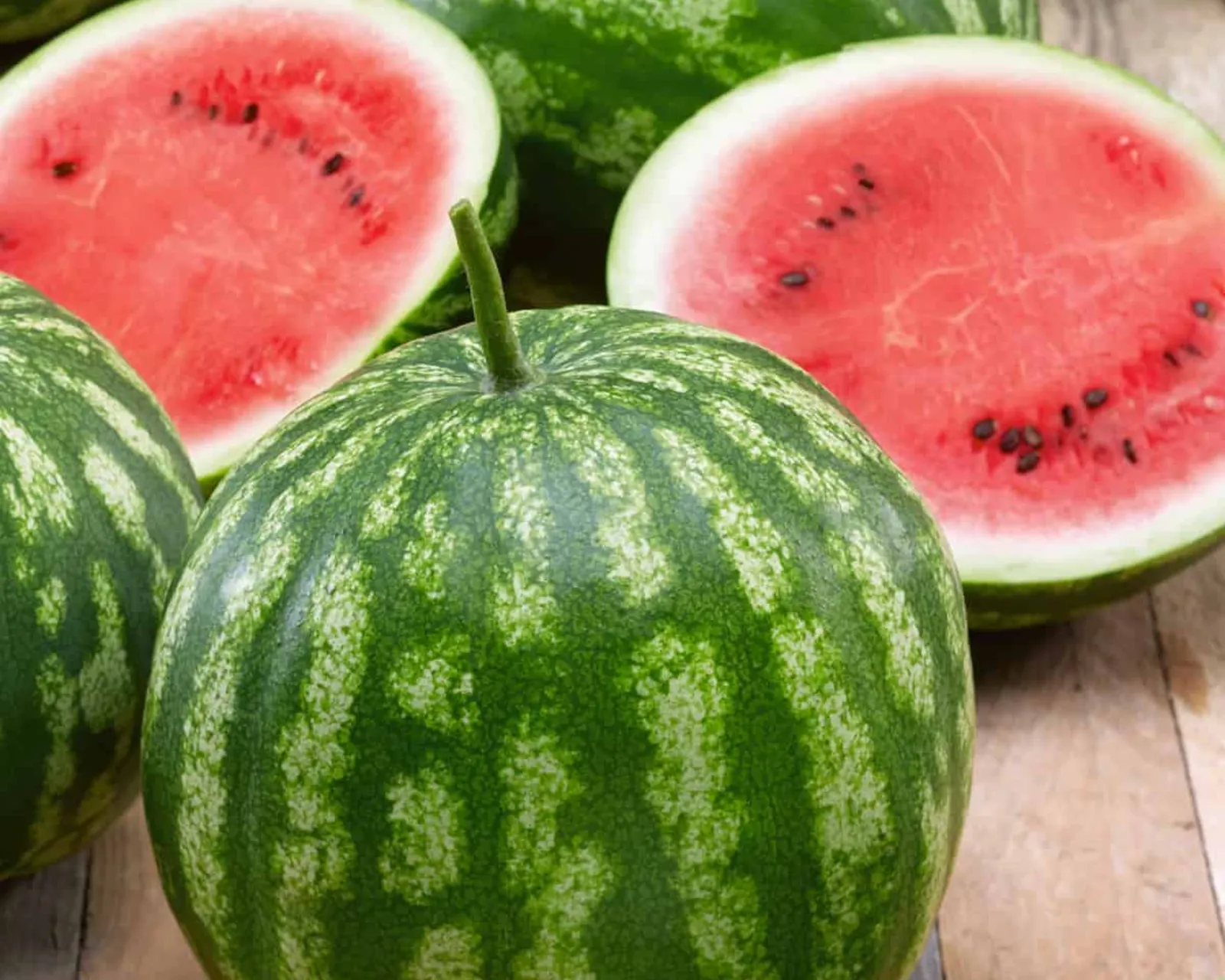 Cal Sweet Bush Watermelon