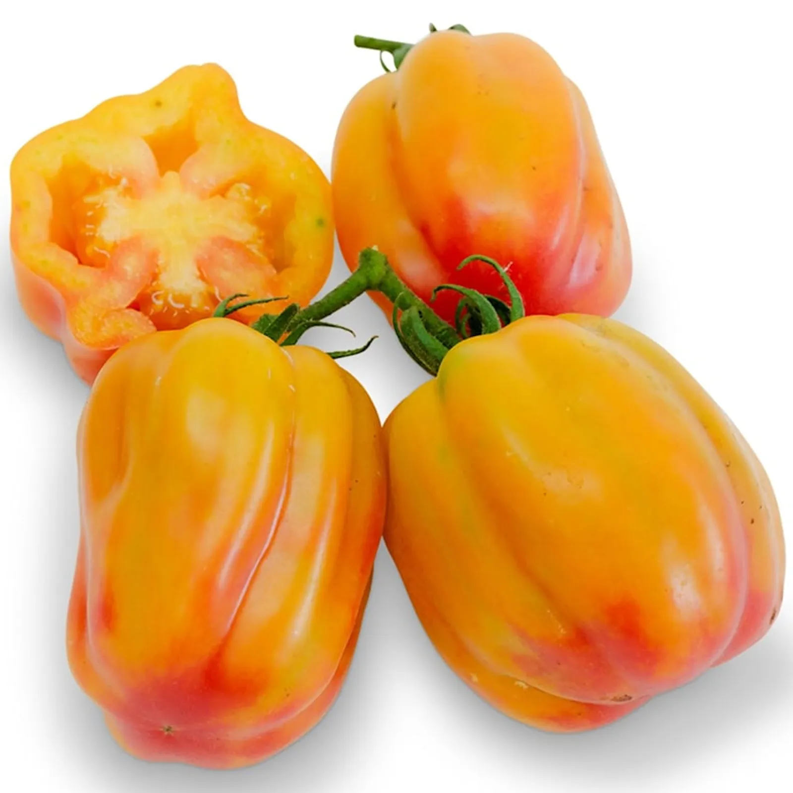 California Tulip Tomatoes