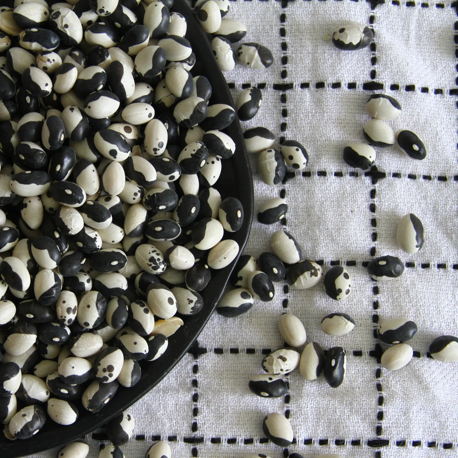 Calypso Beans