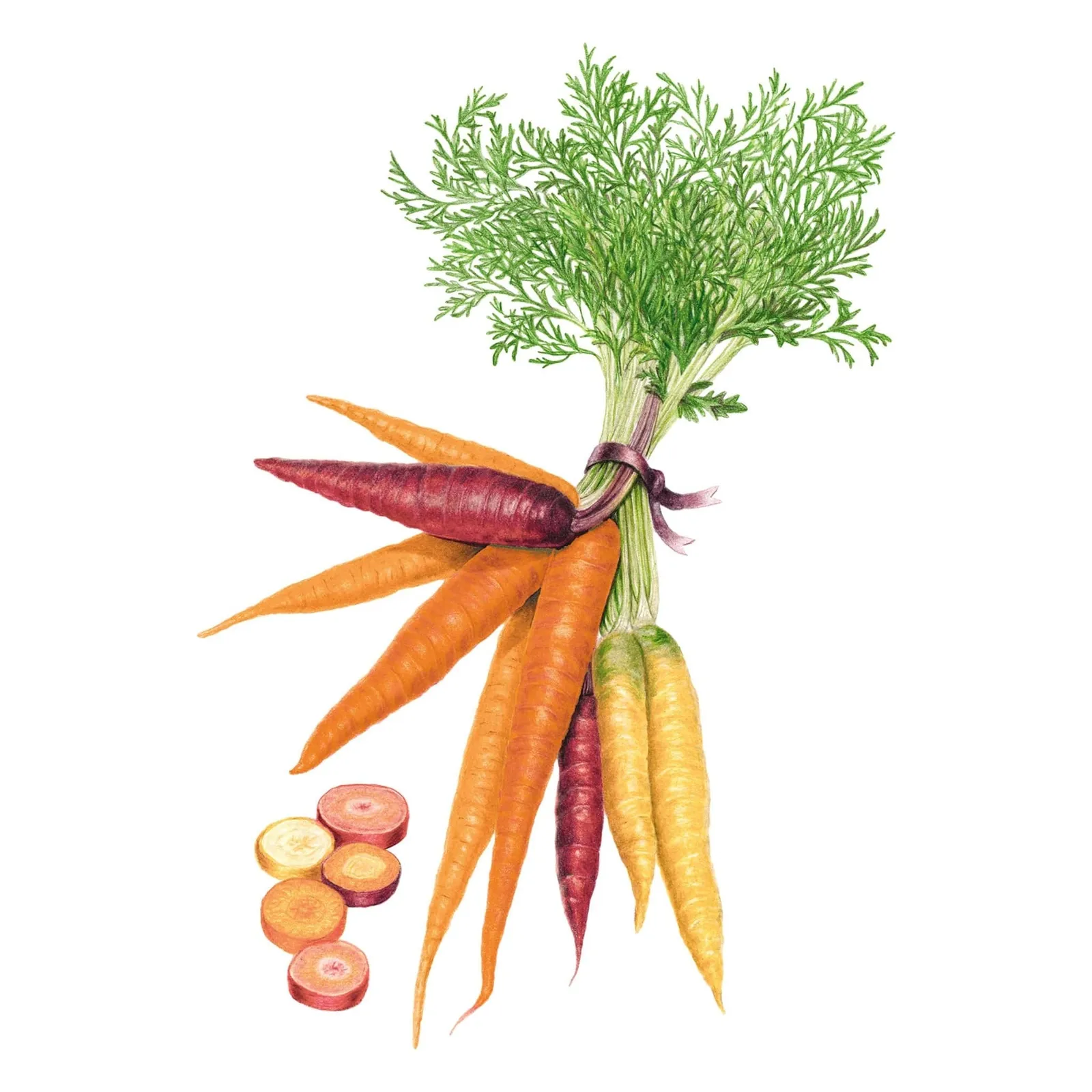 Carnival Blend Carrots