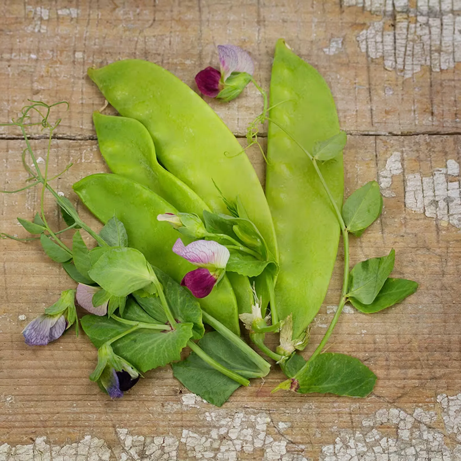 Carouby De Maussane Snow Peas