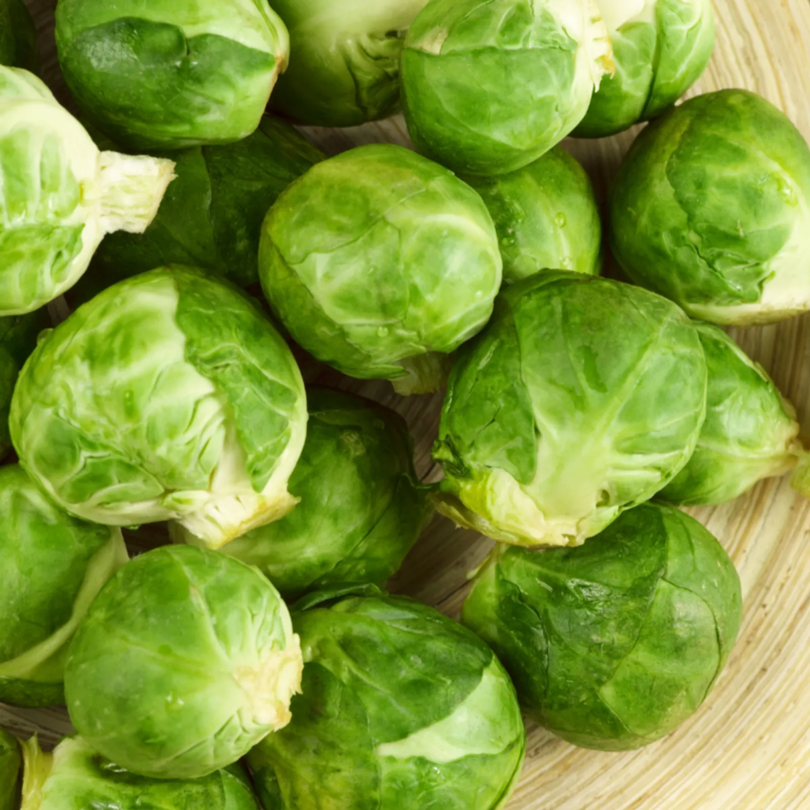 Catskill Brussels Sprouts