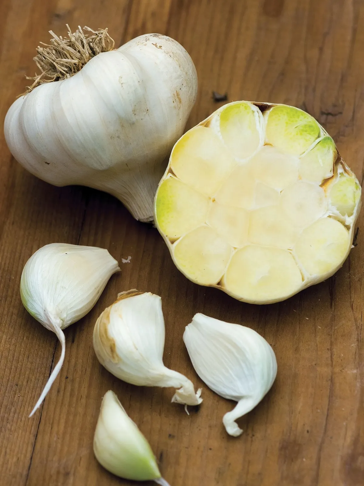 Blanco Piacenza Garlic
