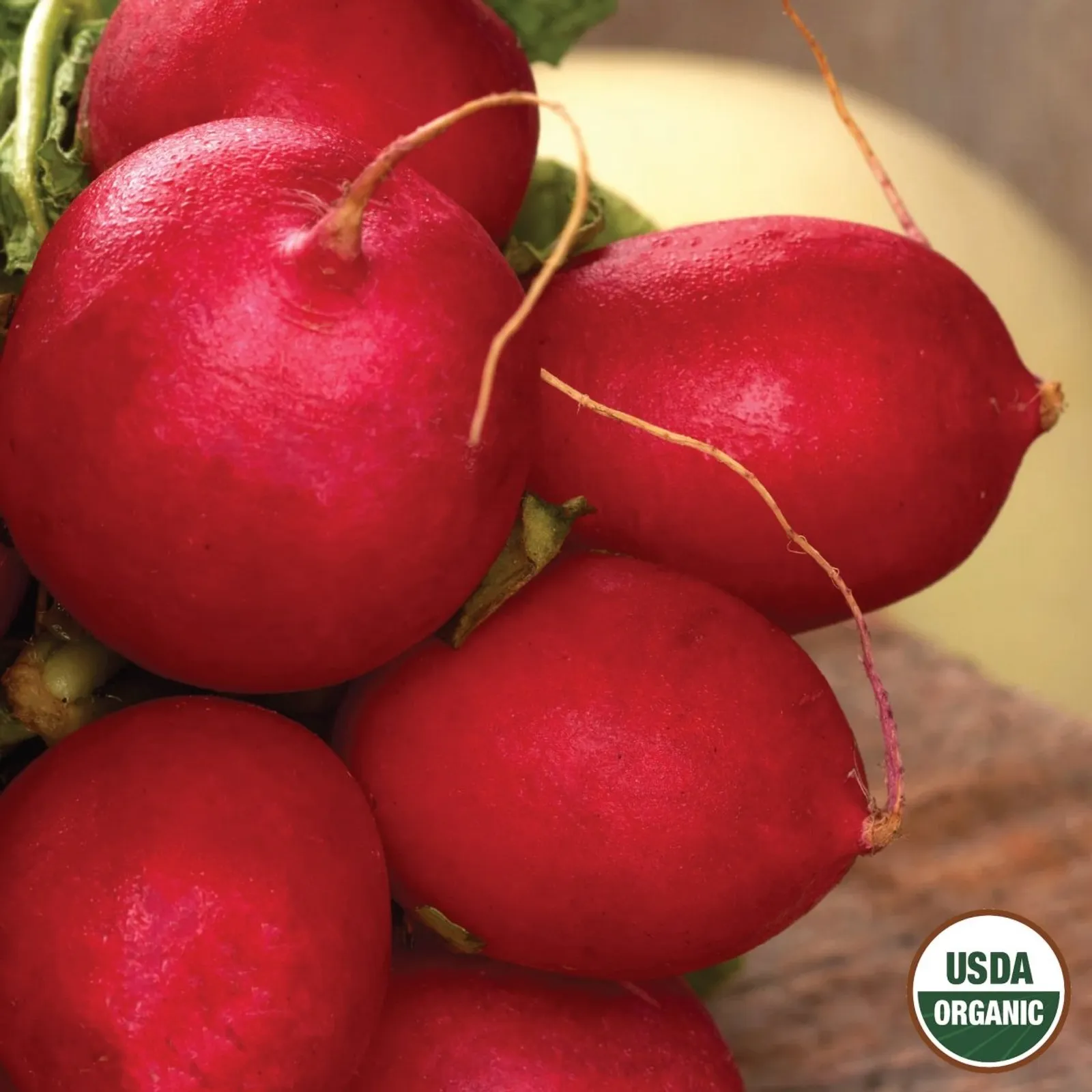 Champion Radishes