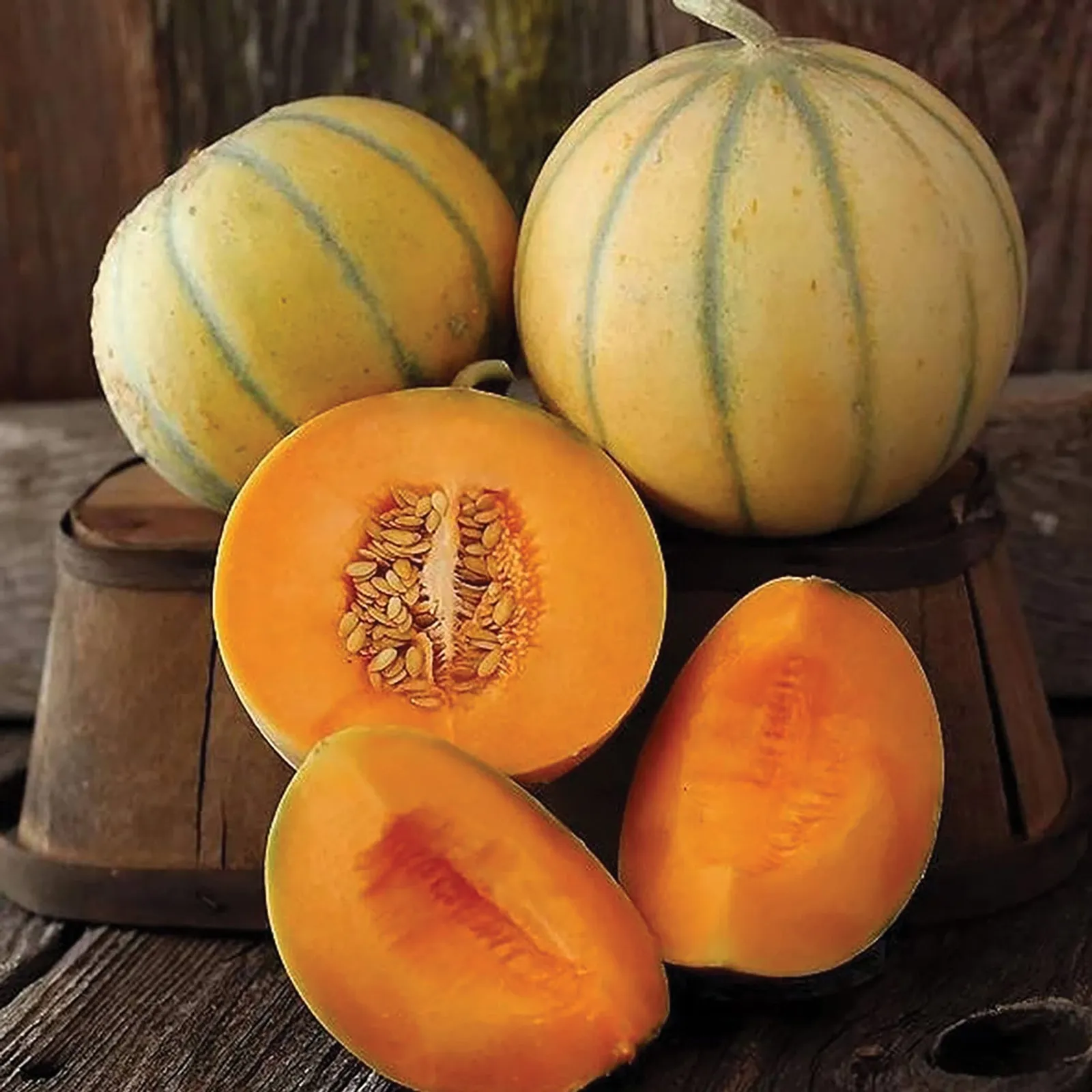 Charentais Melon Cantaloupe
