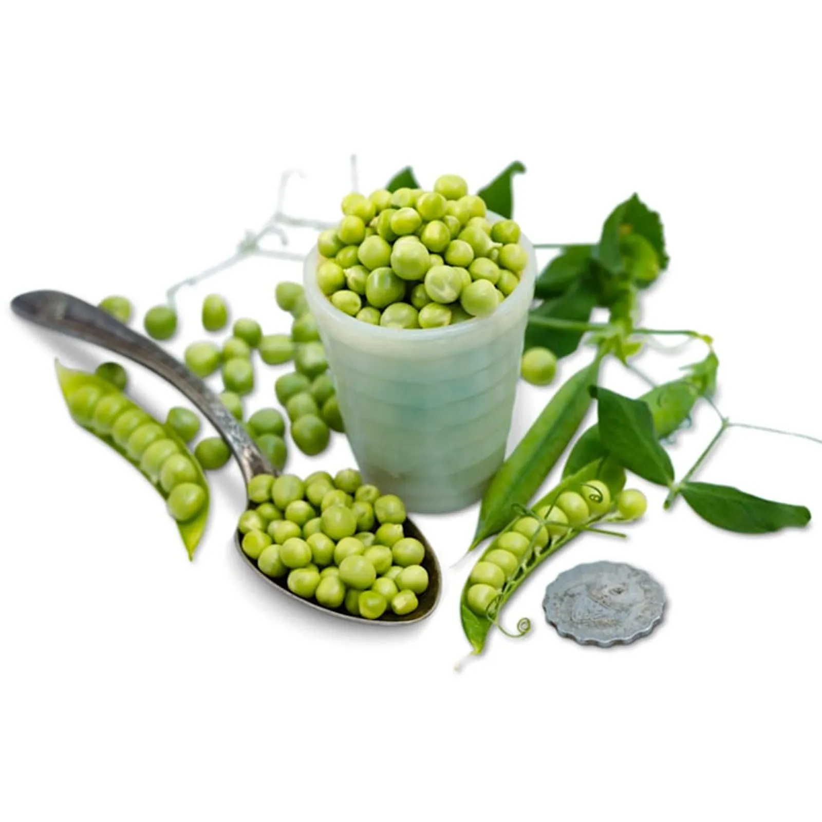 Charmette Petit Pois Garden Peas