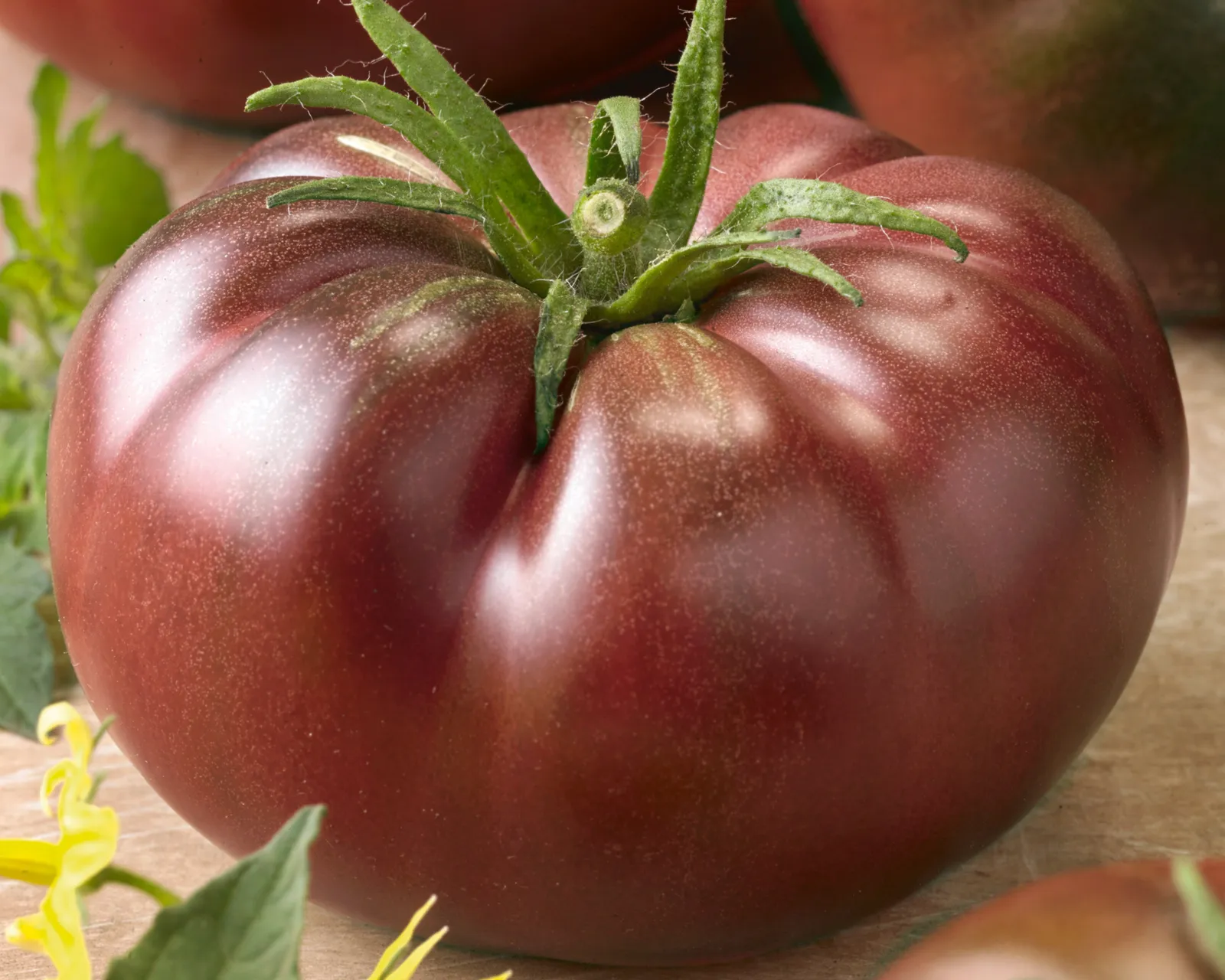 Chef's Choice Black Hybrid Slicing Tomatoes