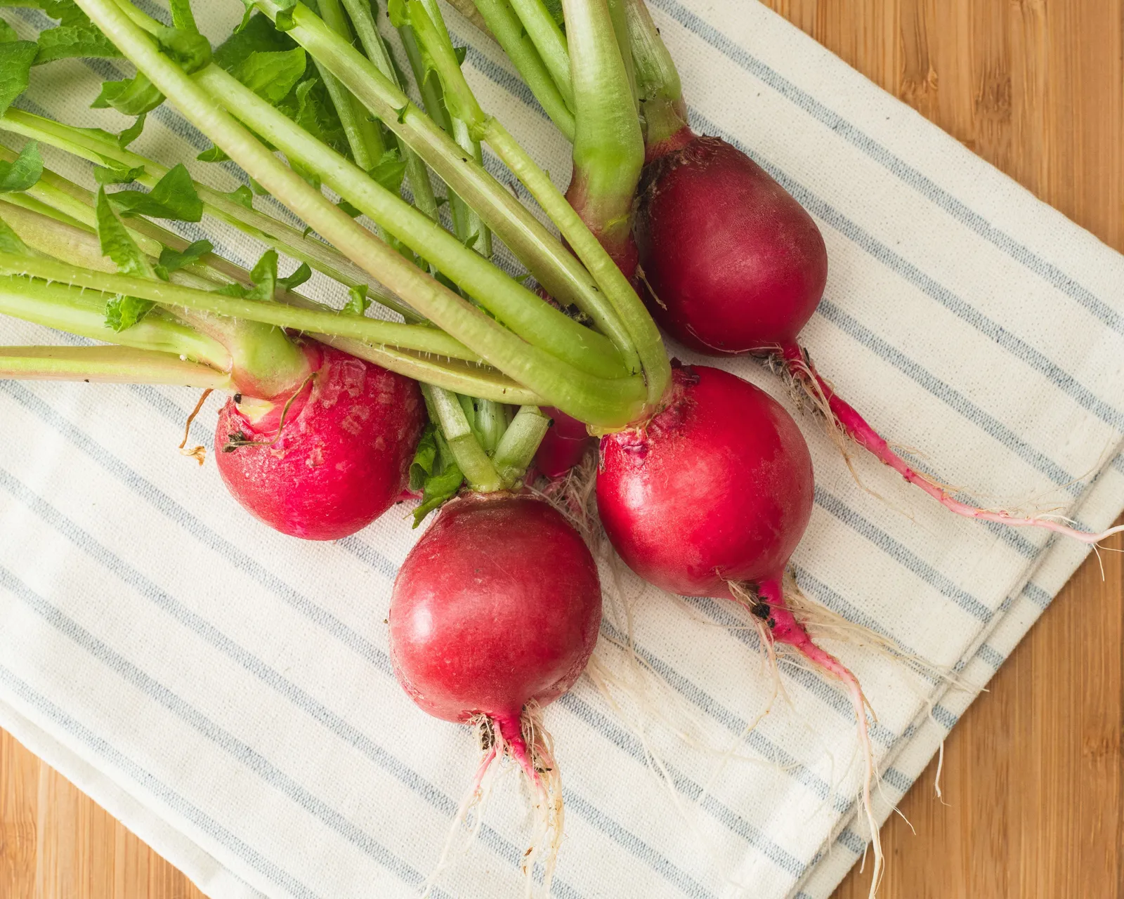 Cherry Belle Radishes