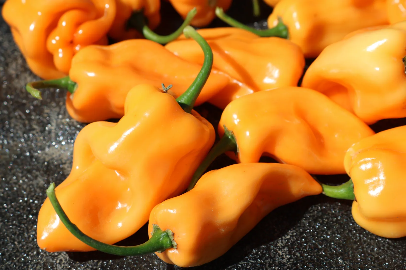 Chichen Itza Peppers