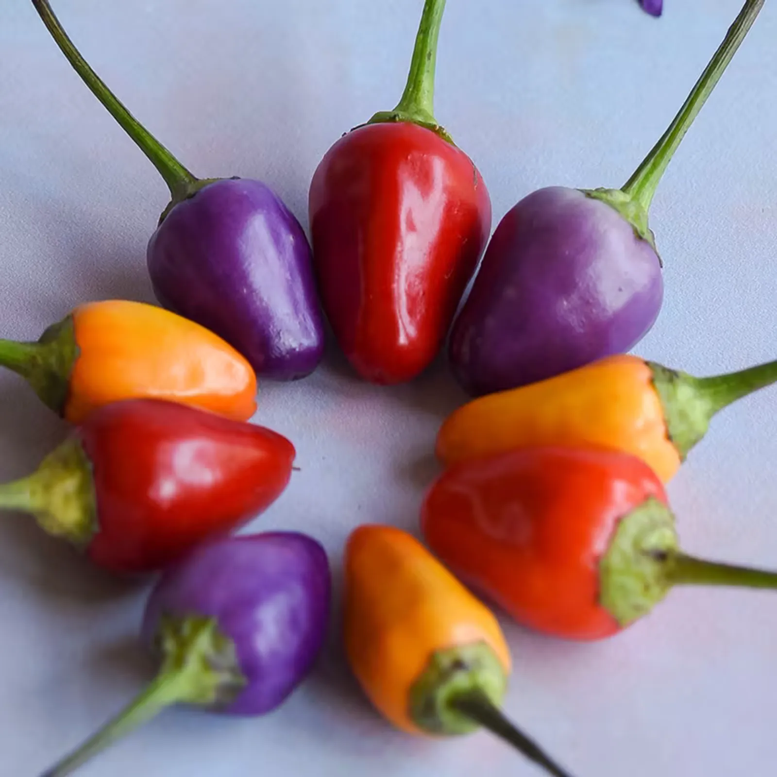 Chinese 5 Color Peppers