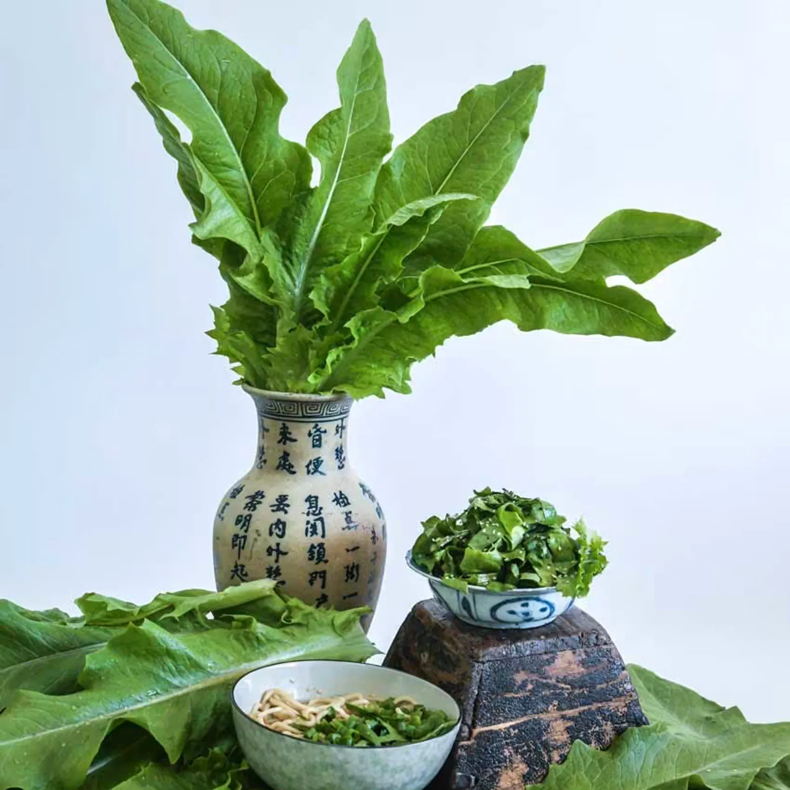 Chinese Narrow Leaf Lettuce