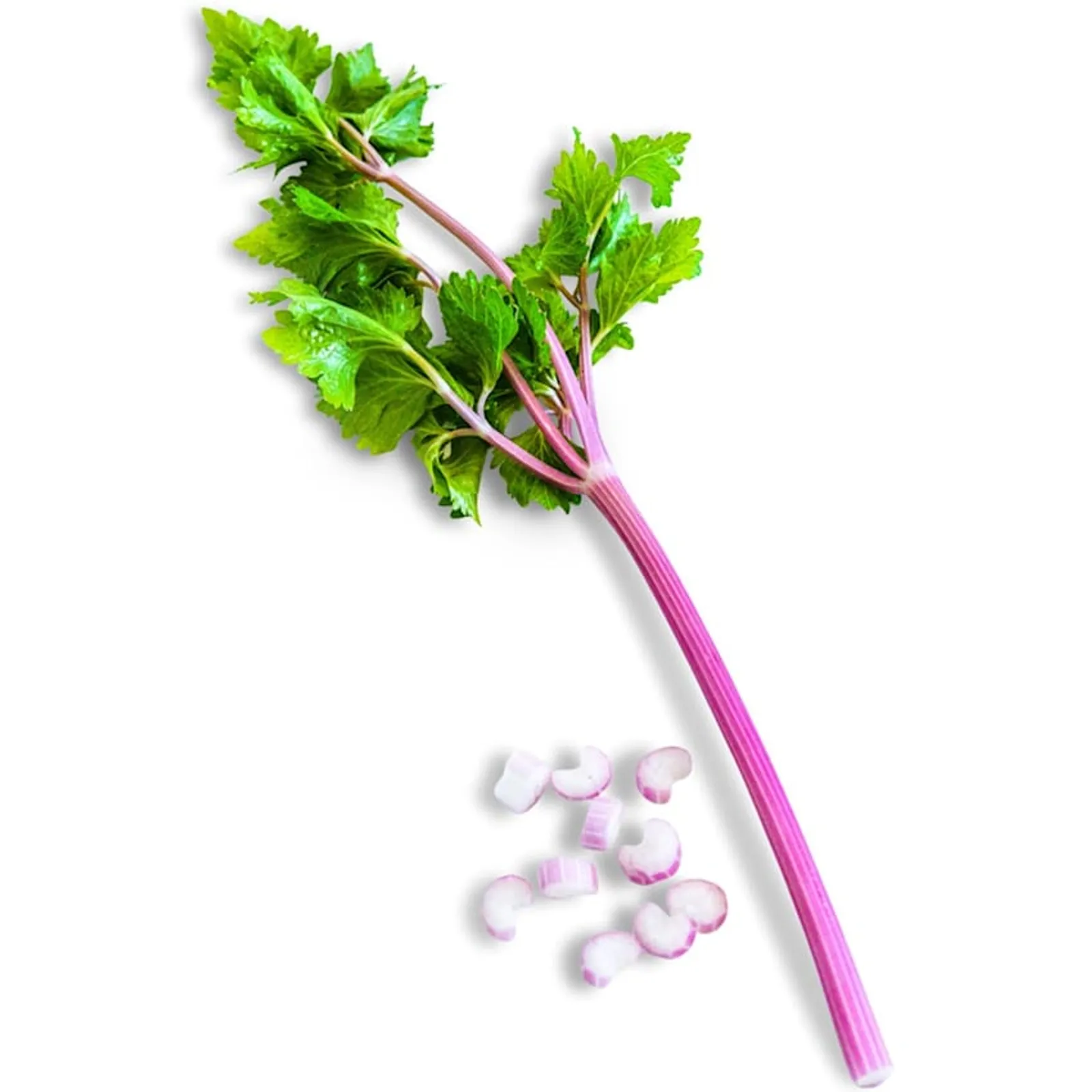 Chinese Pink Celery