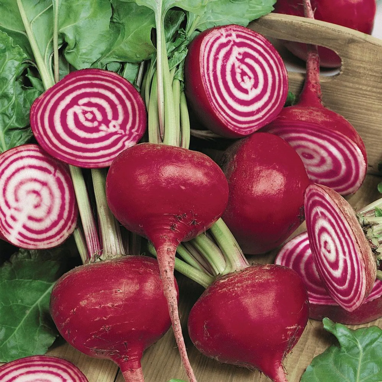 Chioggia Beets