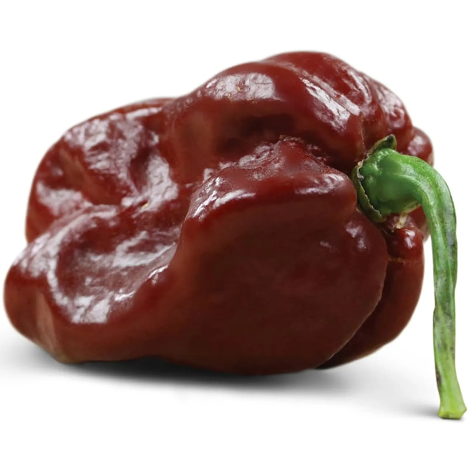 Chocolate Habanero Peppers