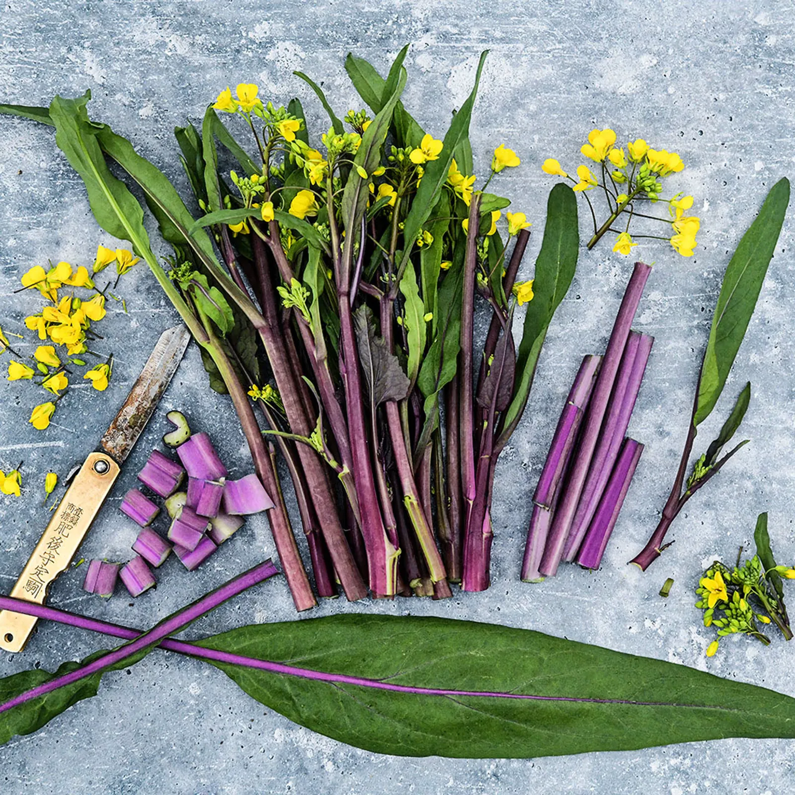 Choy Sum, Purple or Chinese Flowering Cabbage Bok Choy