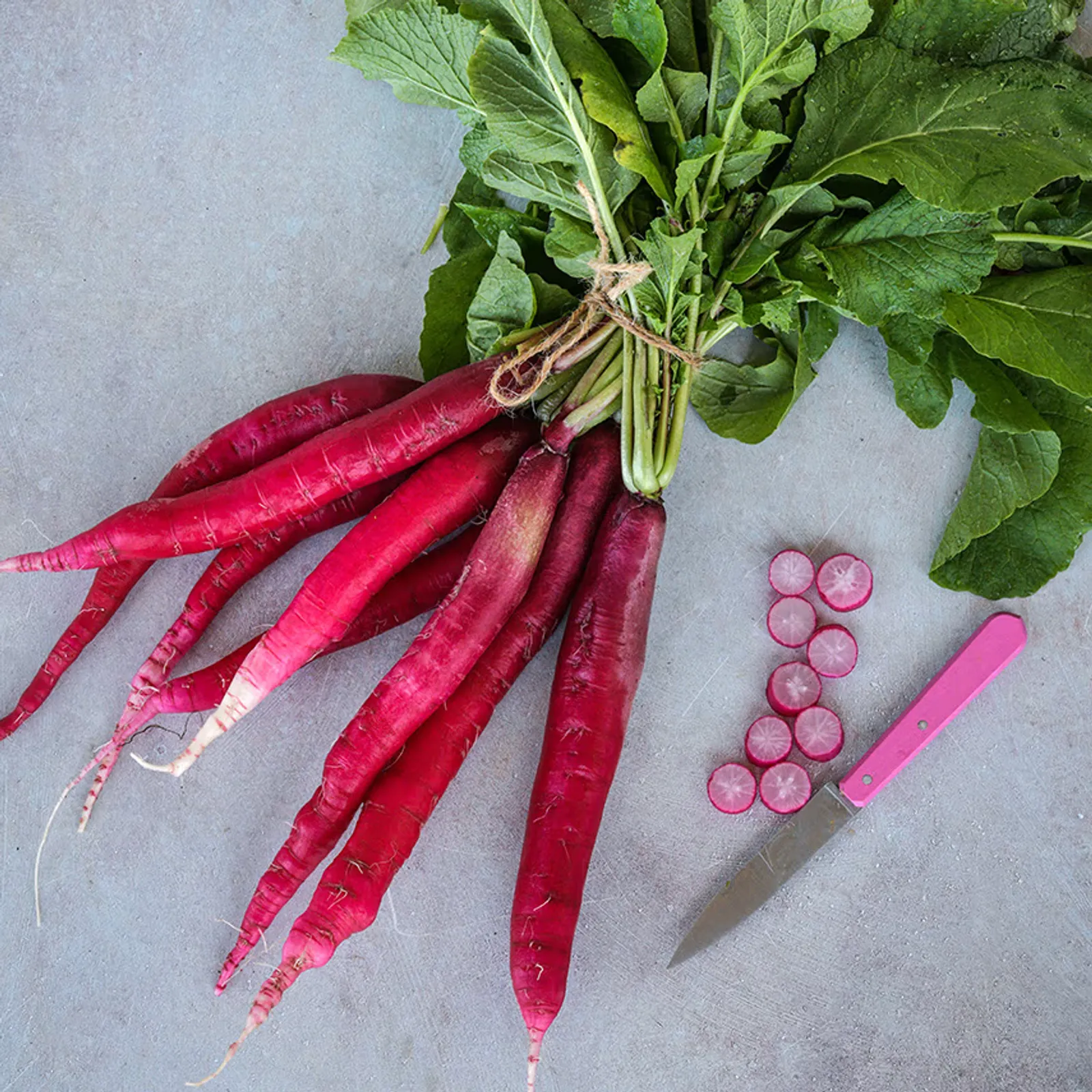 Cincinnati Market Radishes