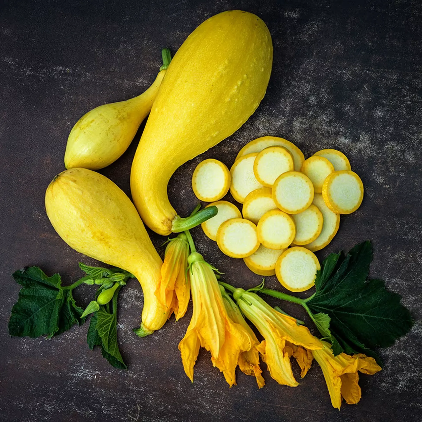 Early Summer Crookneck Squash