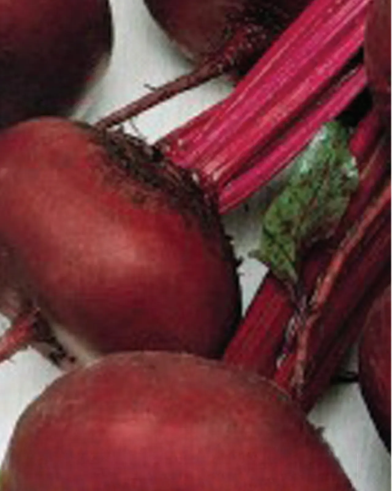 Crosby's Egyptian Beets
