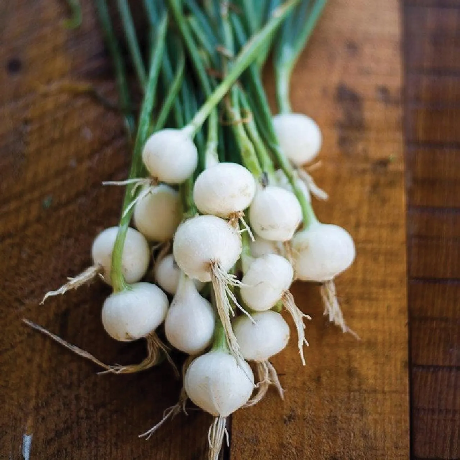 Crystal White Wax (Pickling) Onions