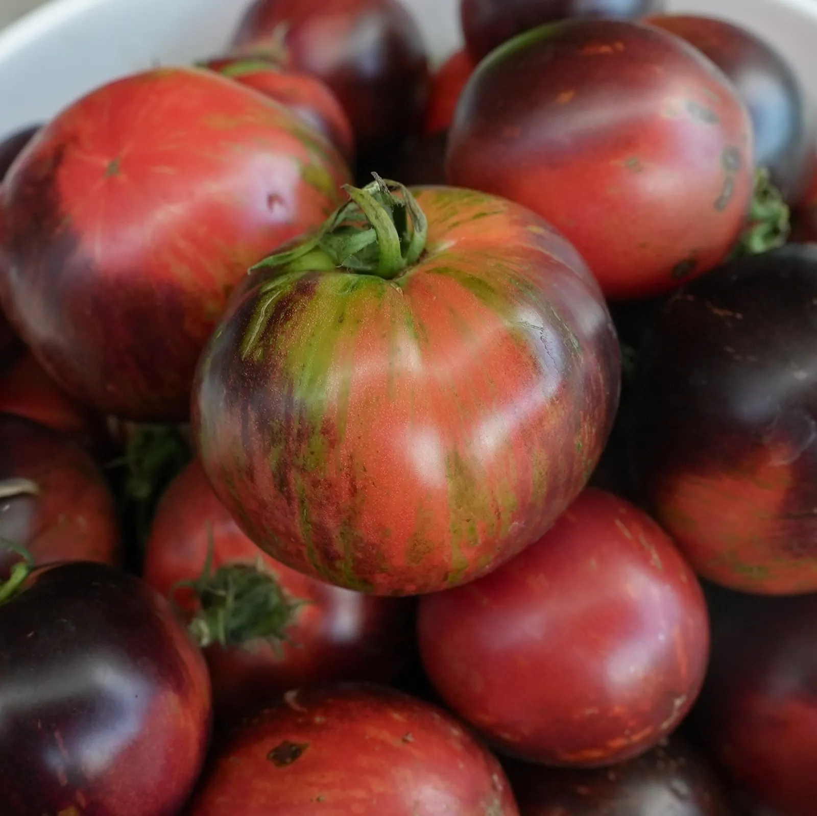 Curtain Call Tomatoes