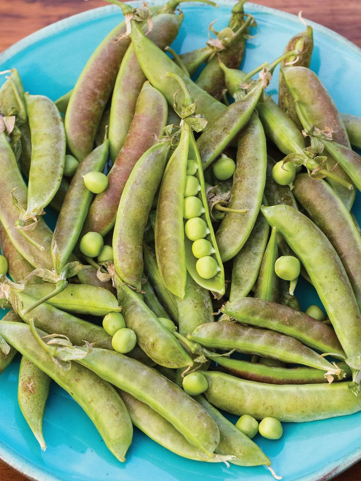 Spring Blush Peas