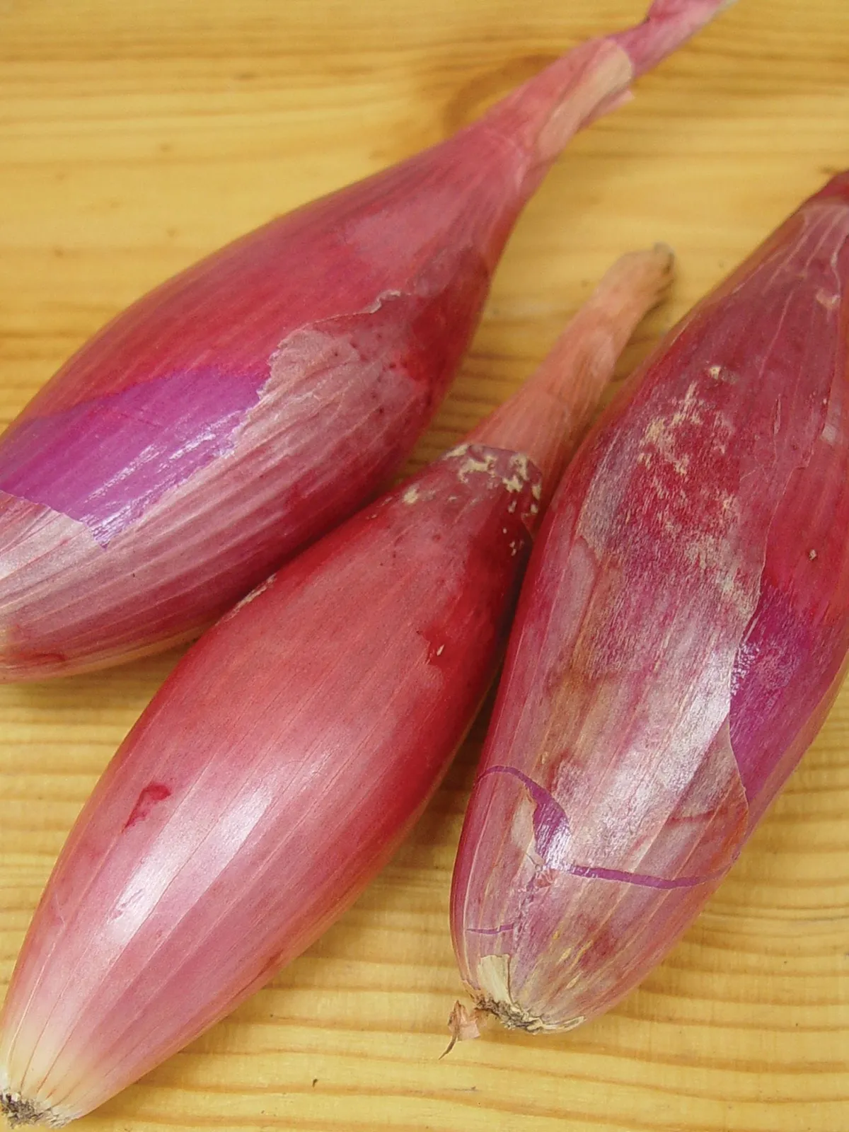 Italian Torpedo Onions