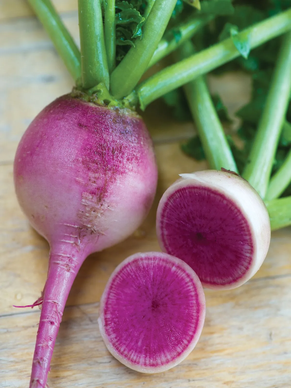 Watermelon Radishes