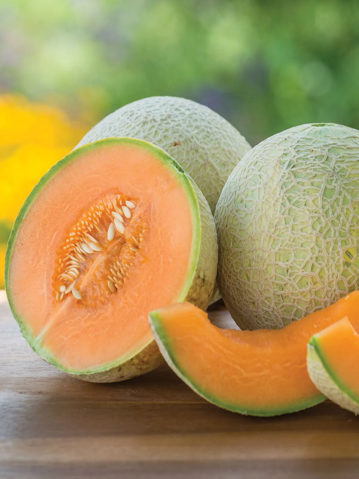 Sugar Cube Hybrid Cantaloupe