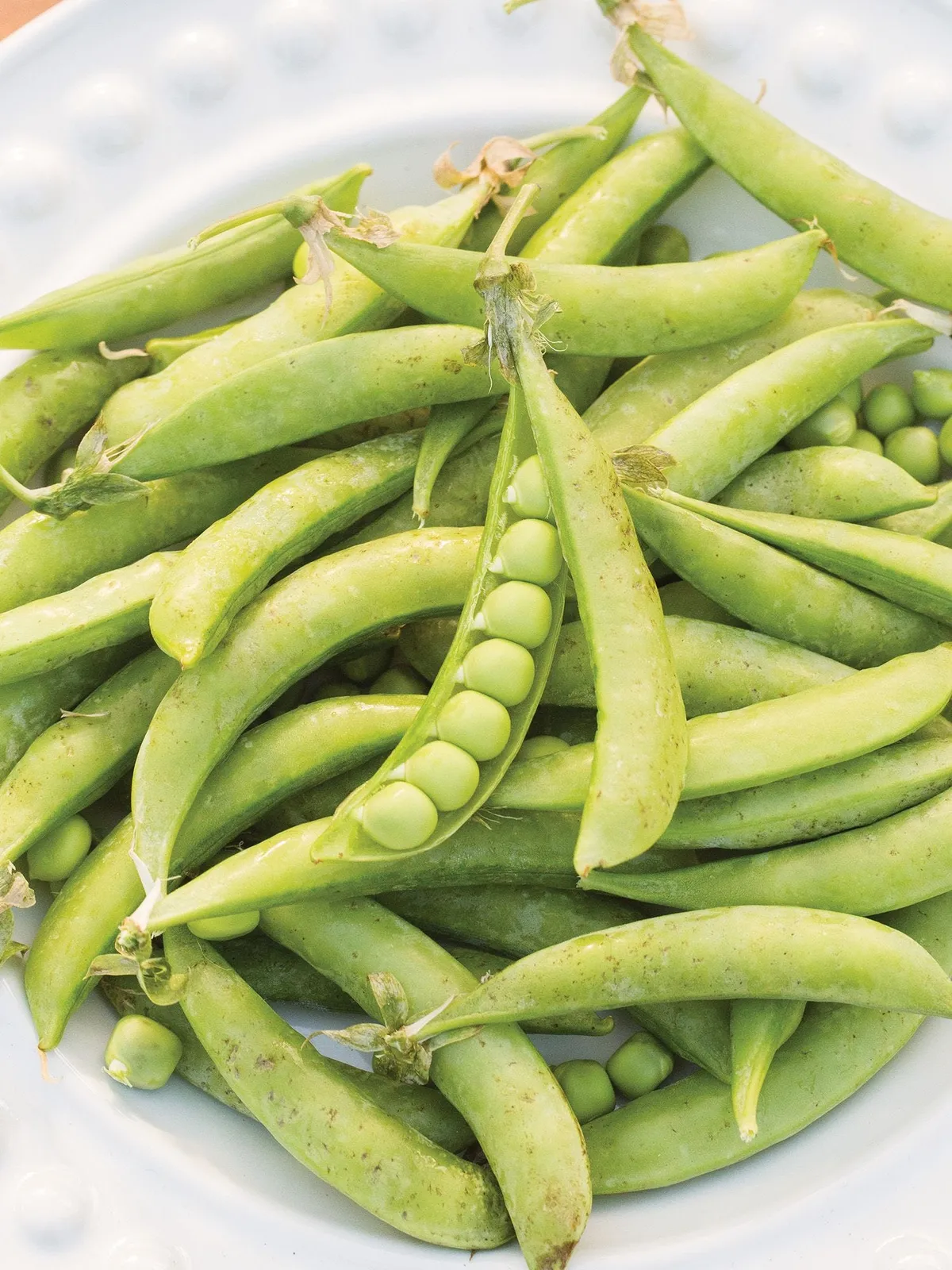 Magnolia Blossom Peas