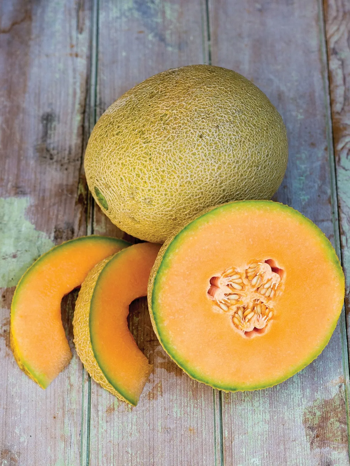 Olympic Express Hybrid Cantaloupe