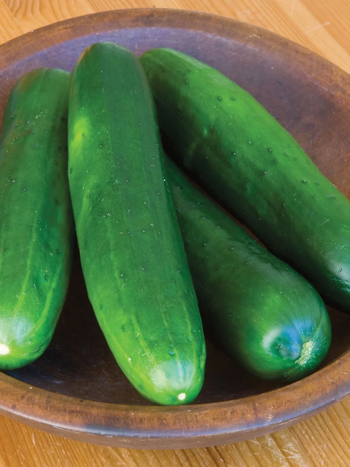 Burpless Beauty Cucumbers