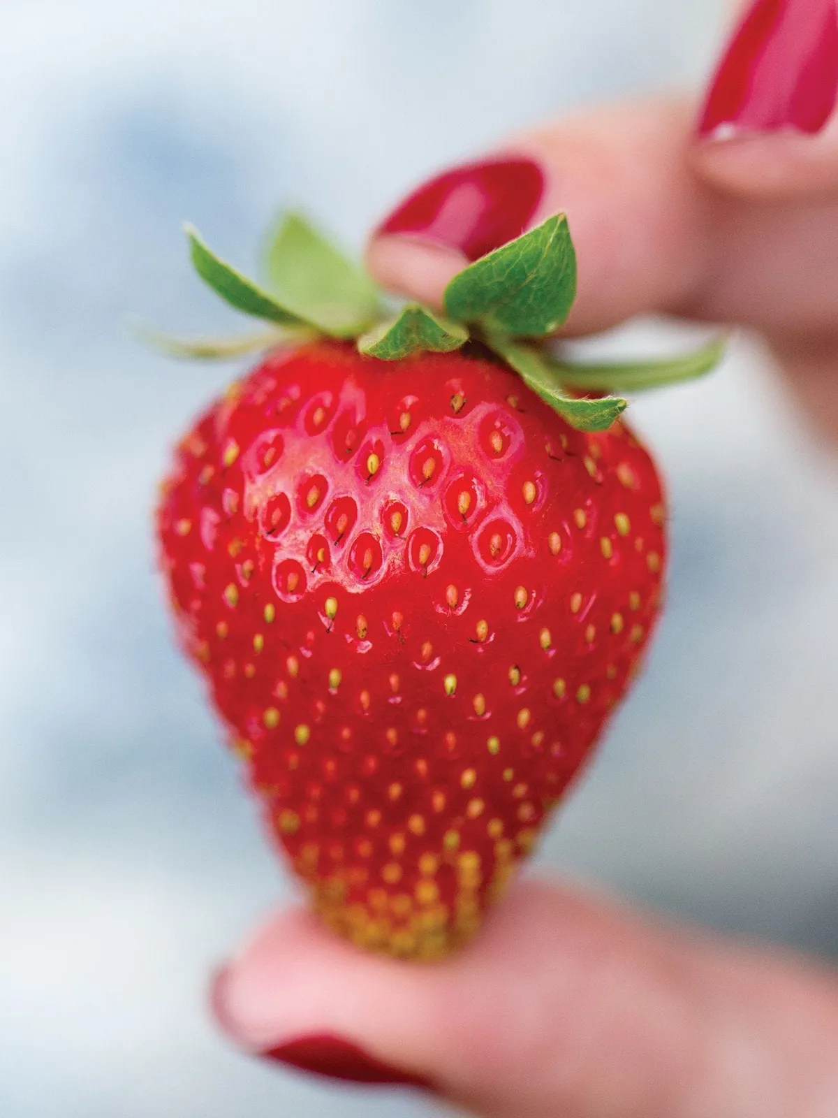Sweet Kiss Strawberries