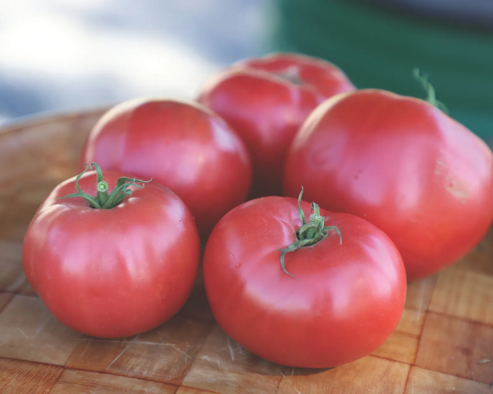 Damsel Hybrid Pink Beefsteak Tomatoes