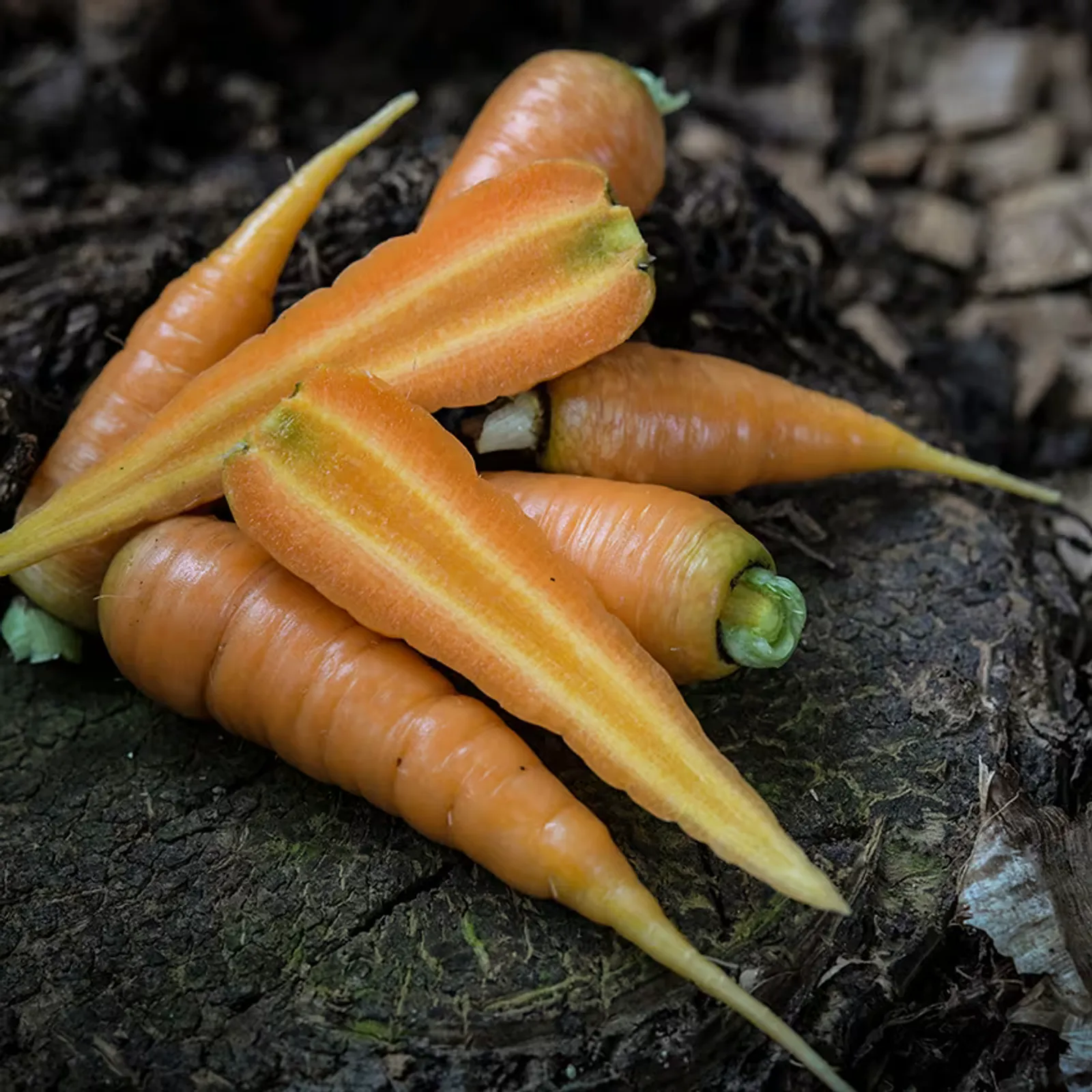 Danvers 126 Carrots