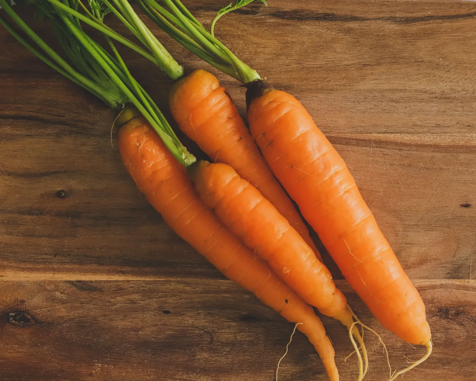 Danvers Half-Long Carrots