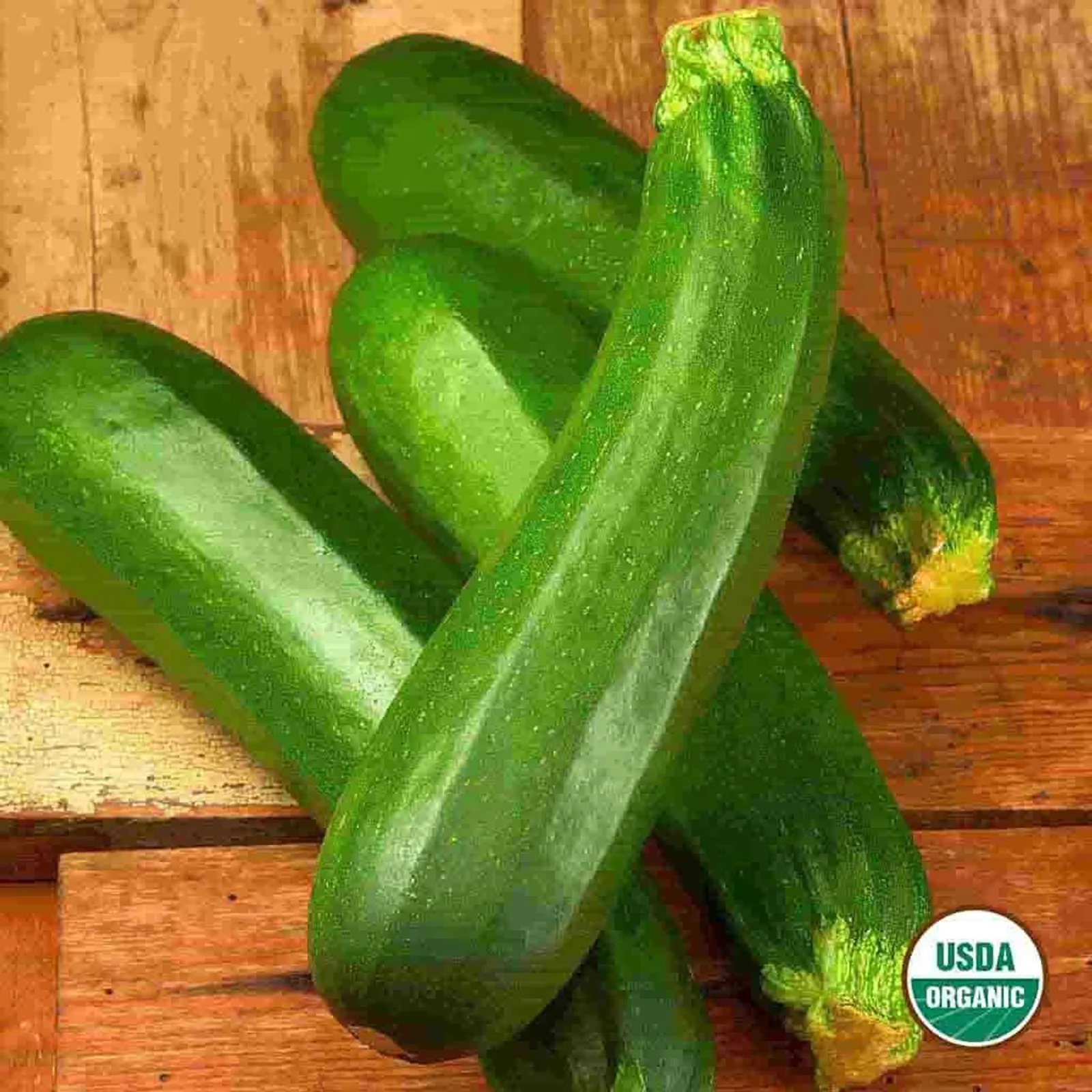 Dark Green Zucchini Squash
