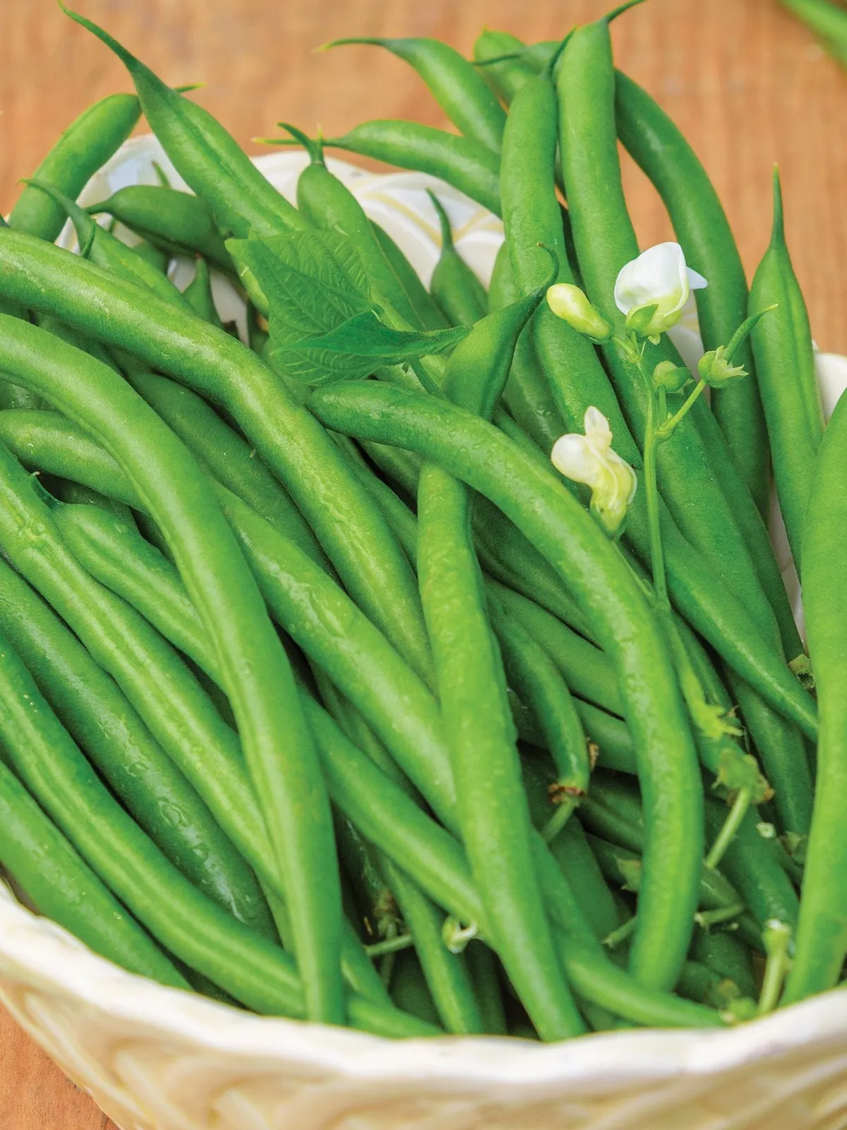 Bush, Desperado Beans