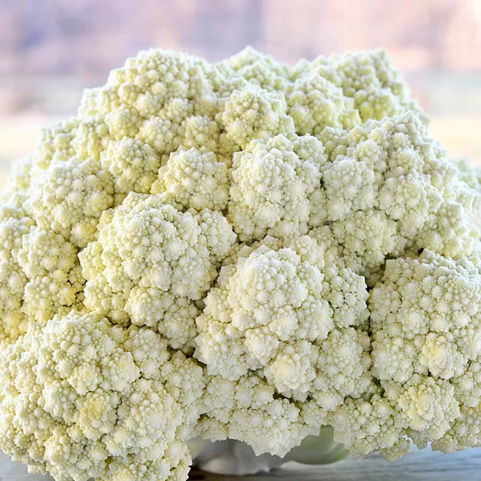 De Jesi Cauliflower
