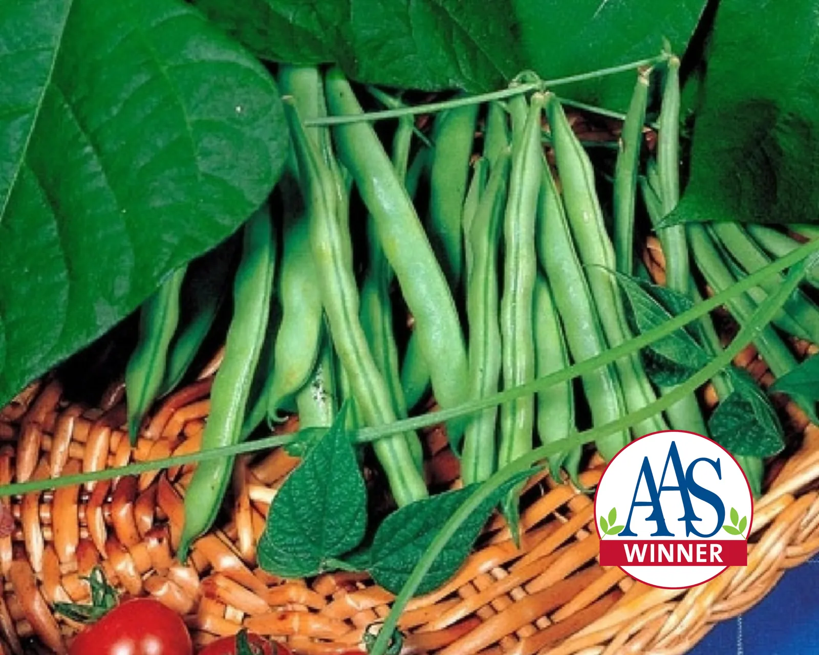 Derby Snap Beans