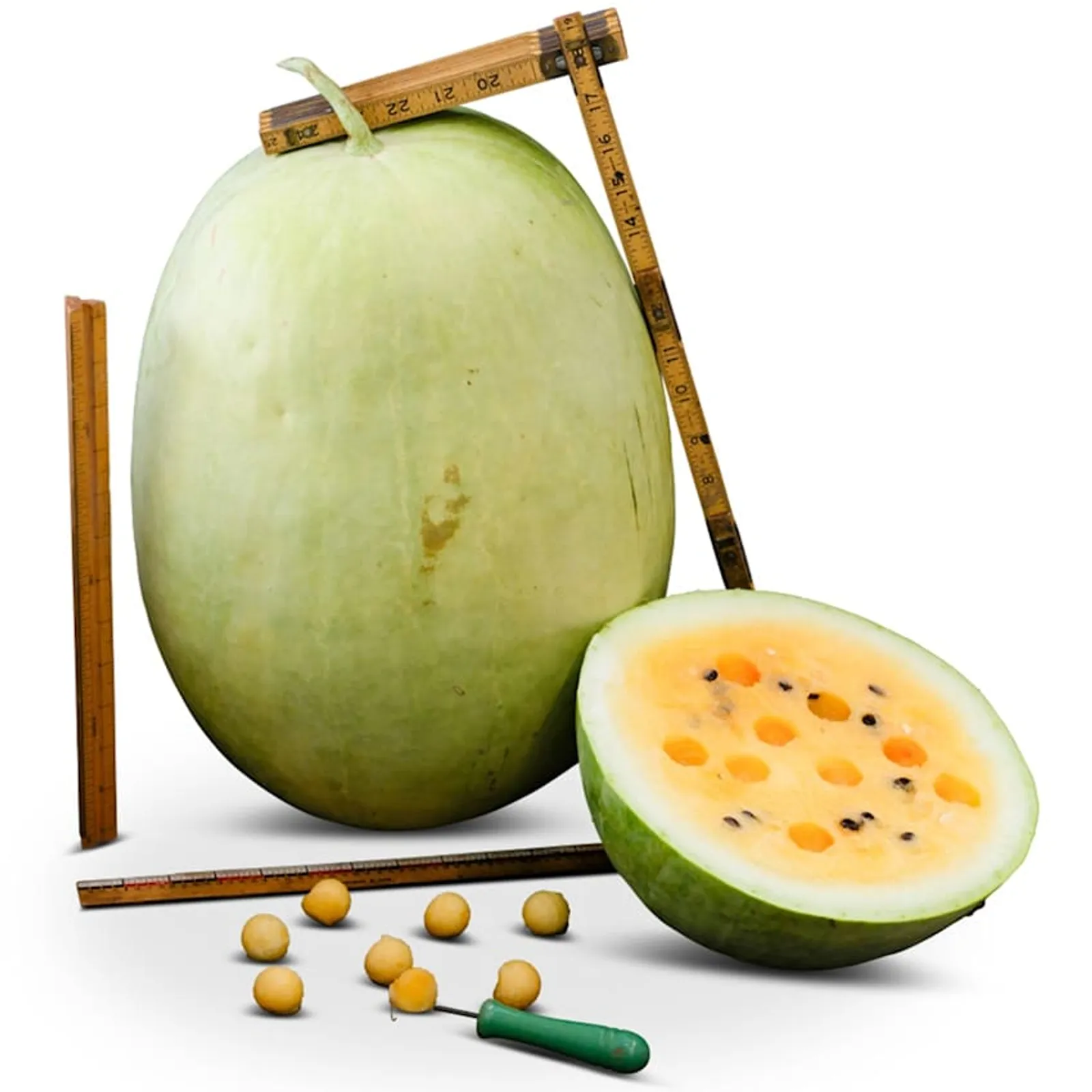 Desert King Watermelon